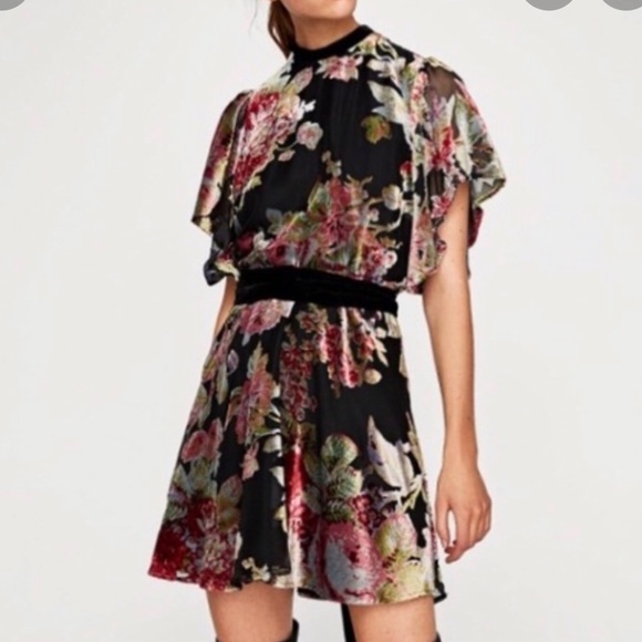 Zara chiffon and velvet dress - Picture 1 of 2